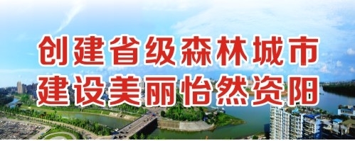 大鸡巴操死你的小骚逼网站视频创建省级森林城市 建设美丽怡然资阳